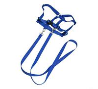 Besttoolifes Play Gear Riding Body Protector for Kids Equestrian Safety Horse for Boys Equipment Girls Outdoor Riding and Role Childrens Plus Comfortable Polyester