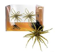 Besttoolifes Sea Urchin Soft Lure Fishing Bait, TPR Material, 6Cm Size, Lasting Flexible Tentacles, Slow Sinking, Suitable For Bass And Mandarin Fish Angling(gold)