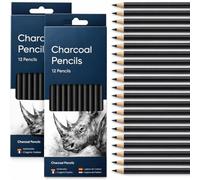 Bestus Black Charcoal Pencils 24 Pack (2 x 12) Professional Drawing & Sketching Pencils for Artists, Shading, Portrait & Sketch Art, Charcoal Art Pencils for Beginners, Students & Professionals