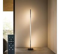 BESTY HOME Modern Floor Lamp Twisted LED with Remote Control for Living Room Bright Lighting, 140cm Tall Light for Bedrooms, Offices - Dimmable, Contemporary Indoor Pole Lamp (Matte Black, 140 CM)