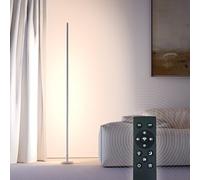 BESTY HOME Smart LED Floor Lamp Dimmable Standing Lamp with Remote Control Modern Thin 3 Color Temperatures Standing Lamp for Reading, Living Rooms, Bedroom and Offices (White - Standard, 150 CM)