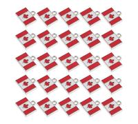 BESTYASH 25pcs Maple Leaf Charm Alloy Pendants for Jewelry Making and Backpack Decorations, Portable with Colour Retention, for Canada Day Souvenir Crafts and Keychains