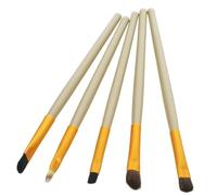 BESTYASH 5pcs Professional Eye Makeup Brush Set Nylon Hair Portable Eyeshadow Brushes for Beginners and Experts Smooth No Shedding Variety of Shapes for Creative Looks Random Color