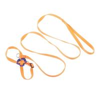 BESTYASH Adjustable Nylon Lizard Pulling Rope Leash for Pets with Stable Performance and Light Weight, Suitable for Outdoor Walking of Lizards and Iguanas