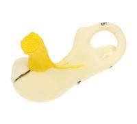 BESTYASH Enlarged Ear Anatomy Aid for Medical Studies for Classroom Laboratory Use Non Fading Design