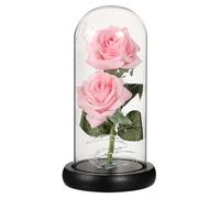 BESTYASH Eternal Rose Lamp with LED Light in Glass Dome, Pink Double Rose Heads with Black Base, Romantic Valentine’S Day Table Decoration for Dating Night and Home Lighting