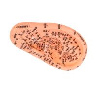 BESTYASH Human Ear Acupuncture Model for Traditional Chinese Medicine Multi-acupoint Ear Massage Model Safe and Ergonomic Design for Self-Massage and Wellness