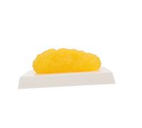 BESTYASH Human Fat Model Anatomical Demonstration Device for Physiological Science and Nutrition Education Realistic Texture for Fitness Motivation and Diet Reminders