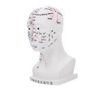 BESTYASH Medical Head Acupoint Model with Four Functional Meridian Points Realistic Human Head Acupuncture Teaching Aid for Home School Laboratory Hospital Use White Small