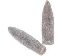 BESTYASH Natural Belemnite Mineral Specimens 2Pcs for Paleontology Research and Classroom Use, Sturdy and Intricate Detailing