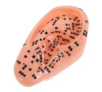 BESTYASH Silicone Ear Point Model for Acupuncture Massage Human Body Prosthetic Fake Body Parts Soft Skin Education Tool