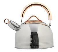 BESTYASH Stainless Steel Whistling Kettle with Ergonomic Handle for Boiling Water Tea Coffee Practical Household Kitchen Pot for Office Outdoor Travel Use Teapot with Balanced Steam