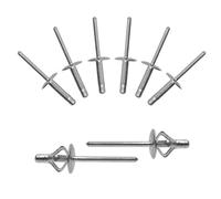 BESTYCHAO 60pcs Tri-Fold Exploding Large Head Aluminum Blind Rivet Pop Rivet Rivets - Silver(4.8x25mm)