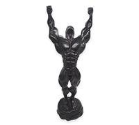 BestySuperStore Bodybuilding 13" High Victory Pose Raise Arms Male Bodybuilder Figurine 3D Resin Muscle Man Figure Exercise Sports Decorative Figurines Souvenir Decoration Collectibles Home Decor Gift