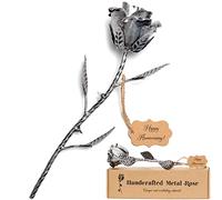 BESZONE Iron Gifts for 6th Anniversary Metal Rose Iron 6 Year Wedding Anniversary for Her Him Gift 11 Year 11th Everlasting Rose Steel Flower Handcrafted Love Stained Artwork