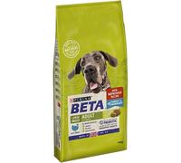 Beta Adult Large Breed Turkey - 14KG