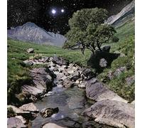 The Beta Band - The Beta Band