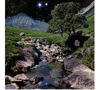 BETA BAND, The - The Beta Band - Vinyl (gatefold 2xLP + CD)