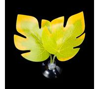 Betas Fish Leaf Pad Double Leaf Hammock Break Bed Safety Environment Beta Spooning Bed Aquarium Landscape Accessories Accessories