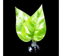 Betas Fish Leaf Pad Double Leaf Hammock Break Bed Safety Environment Beta Spooning Bed Aquarium Landscape Accessories Accessories