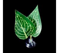 Betas Fish Leaf Pad Double Leaf Hammock Break Bed Safety Environment Beta Spooning Bed Aquarium Landscape Accessories Accessories