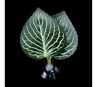 Betas Fish Leaf Pad Double Leaf Hammock Break Bed Safety Environment Beta Spooning Bed Aquarium Landscape Accessories Accessories