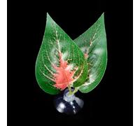 Betas Fish Leaf Pad Double Leaf Hammock Break Bed Safety Environment Beta Spooning Bed Aquarium Landscape Accessories Accessories