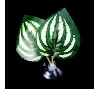 Betas Fish Leaf Pad Double Leaf Hammock Break Bed Safety Environment Beta Spooning Bed Aquarium Landscape Accessories Accessories