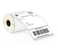 BETCKEY - 1 Rolls S0904980 Self-Adhesive Labels, 104mm x 159mm, 220 Extra Large Shipping Labels Compatible with DYMO LabelWriter 4XL, NOT Fit 550 or 5XL