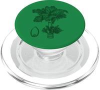 Betel Nut Palm Tree PopSockets PopGrip for MagSafe