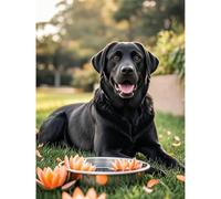 Betkuzoka Black Labrador Retriever Diamond Art Painting DIY Kits Stitch Diamond Dots Paint by Diamonds 5D Full Round Drill Rhinestone Art for Beginners Home Living Room Bedroom Decor 12x16 Inch