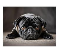 Betkuzoka Black Pug Dog Puppy Diamond Art DIY Kits Stitch Diamond Dots Painting 5D Full Round Drill Paint by Diamonds Rhinestone Art for Beginners Home Living Room Bedroom Decor 12x16 Inch