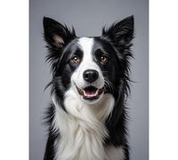 Betkuzoka Border Collie Dog Diamond Art Painting DIY Kits Stitch Diamond Dots 5D Full Round Drill Bead Painting Paint by Diamonds for Beginners Home Living Room Bedroom Decor 12x16 Inch
