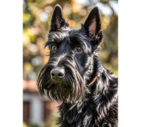 Betkuzoka Diamond Art DIY Kits Black Scottish Terrier Dog Stitch Diamond Dots Painting Paint by Diamonds 5D Full Round Drill Bead Painting for Beginners Home Living Room Bedroom Decor 12x16 Inch