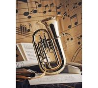 Betkuzoka Diamond Art DIY Kits Tuba Music Note Instrument Stitch Diamond Painting Paint by Diamonds 5D Full Round Drill Bead Art for Beginners Home Living Room Bedroom Office Decor 12x16 Inch