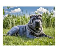 Betkuzoka Diamond Painting DIY Kits Blue Shar Pei Dog Puppy Stitch Diamond Art 5D Full Round Drill Crystal Painting Paint by Diamonds for Beginners Home Living Room Bedroom Decor 12x16 Inch
