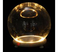 BETOOKY 1set Glowing Glass Dome with Base for Eternal Flower Display Micro Landscape Glass Cover Decorative DIY Home and Shop Ornament Night Light