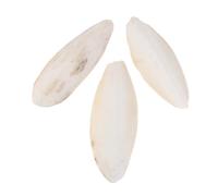 BETOOKY 3 Pcs Natural Cuttlebone Chew for Parrot Birds and Turtles, Beige Calcium Supplement with Easy Absorption, for Balcony Cage Use, Sturdy Pet Bite Pendant for Healthy Beak Grinding