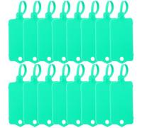 BETOOKY Shipping Tags Sturdy Waterproof Sign 100pcs Green with Self-Locking Strap Writable Blank Label Tags for Indoor and Outdoor Use for Inventory and Logistic