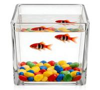 BETOOKY Square Glass Planter 10X10Cm Thickened Vase for Indoor Hydroponic Plants and Office Desk Use