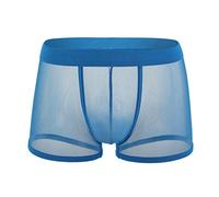 Betory Men's Underwear Sexy Mesh Breathable Boxer Briefs Low Rise Cool Boxers Sexy Lingirie for Men