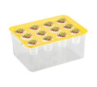 Betta Aquarium, Aquaponic Planter and Aquarium - Desktop Plant Decorations, Home Betta Fish Tank Hydroponic Plant Propagation Station for Women and Mother
