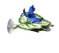 Betta Bed Hammock - Lightweight Betta Bed, Natural Habitat Simulator | Ideal for Glass Aquariums and Marine Aquascapes, Provides Comfort for Betta Fish, Hammock for Betta Owners