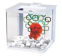 Betta EZ Care Marina Aquarium - Choice of Colours