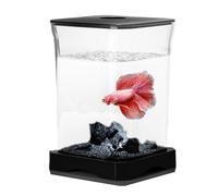 Betta Fish Betta Aquarium - Interactive Learning Experience, Betta Fish Starter Kit with Rectangular LED Aquarium Table Decoration Lamp