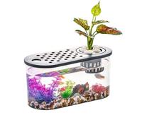 Betta Fish Display Aquarium with Integrated Planter Top, Clear Compact Habitat for Shelf Counter Study Room Decor Betta Aquarium Planter Desktop Habitat Tabletop Display Clear Viewing Ornamental Fish