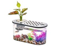 Betta Fish Display Aquarium with Integrated Planter Top, Clear Compact Habitat for Shelf Counter Study Room Decor Betta Aquarium Planter Desktop Habitat Tabletop Display Clear Viewing Ornamental Fish