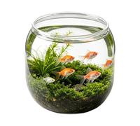 Betta Fish Jar - Round Decorative and Unbreakable Mini Fish Jar for Artificial | for Home Bedroom Dining Room Classroom Office Restaurant Bar Living Room Table Desk