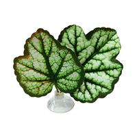 Betta Fish Leaf Pad - Realistic Plant Lounge Flexible Waterproof Perch Smooth Edge Comfortable Glass Top Holder | Peaceful Floating Shelter for Small Freshwater