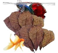 Betta Fish Leaves, Indian Almond Leaves, Aquarium Almond Leaves, Stealthy Environment for Shrimp Crabs Turtles and Betta Fishes to Balance PH Balance of The Water (10pieces)
